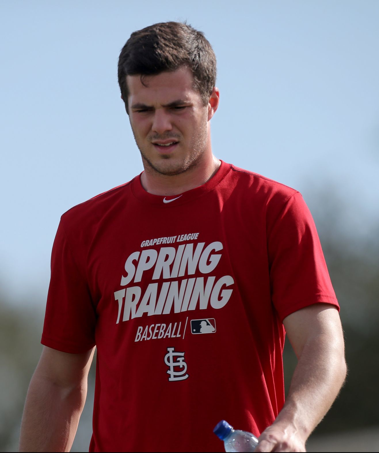 Cardinals spring training